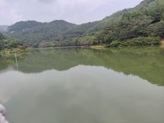 -广州白江湖森林公园