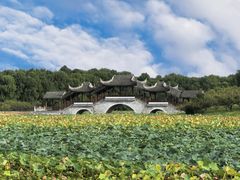 -上海海湾国家森林公园