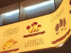-一朵菌·野生菌探索家火锅(南亚店)