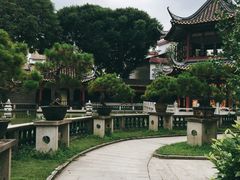 -碧江金楼