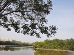 -塘沽森林公园