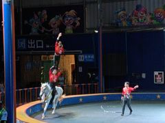 -深圳野生动物园