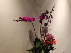 -芙蓉堂(武汉天地店)