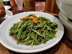 清炒水性杨花-老滇山寨•云南特色菜•地方菜•民族风情歌舞表演(金碧店)