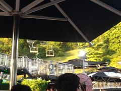 -圣淘沙天际线斜坡滑车