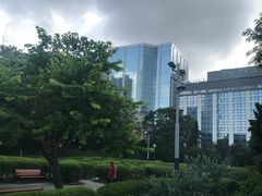 -九龙公园