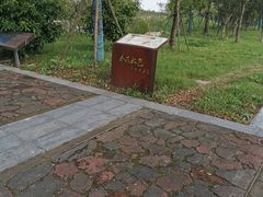 -春花秋色城市公园