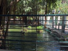-九龙公园