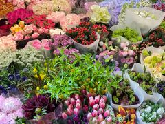 -双季花艺园艺市场(浦东店)