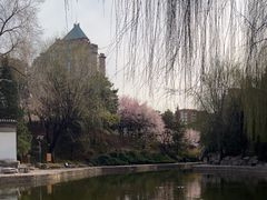 -团结湖公园