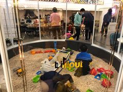 -Lilliput粒粒堡亲子餐厅(置汇旭辉店)