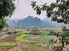 -万峰林风景区