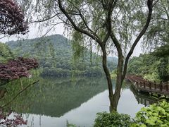 -桃花岭景区