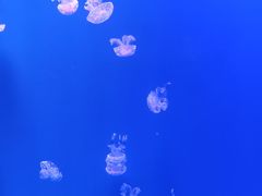 -福州罗源湾海洋世界旅游区