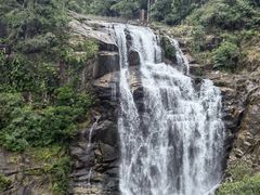 -海南热带雨林国家公园吊罗山景区