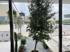 -喜茶(珠海华发商都店)
