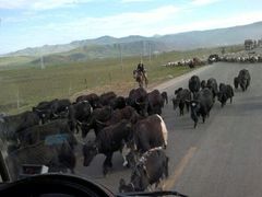 iphone_upload_pic-兰州老马食府(小潞邑店)