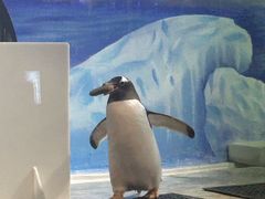 -重庆欢乐海底世界