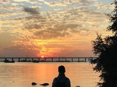 -宝安西湾红树林湿地公园