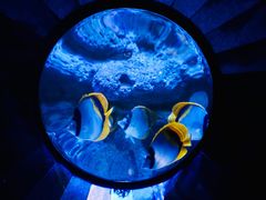 -成都浩海立方海洋公园