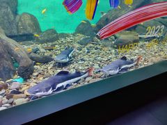 -常州海昌海洋探索馆