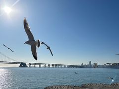 -二七友名焖子铺