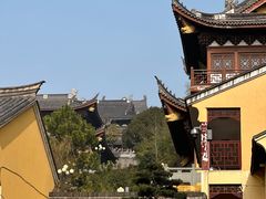 -汤山公园