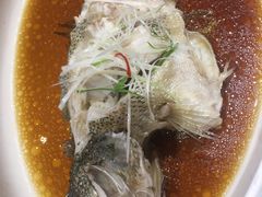 -宏宴·新京菜(望京店)