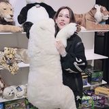 国家地理影像大展——超越130年的经典