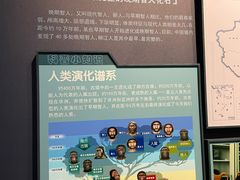 -柳州白莲洞洞穴科学博物馆