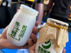 -德禄酸奶(莫家街店)