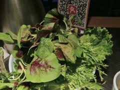 -亮欢寨快活林 酸汤鱼(仁怀店)