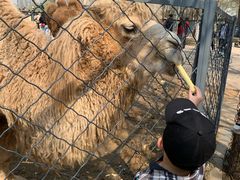 -长白岛森林公园