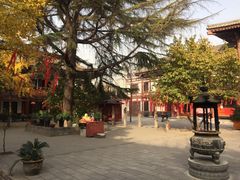 -西安青龙寺遗址景区