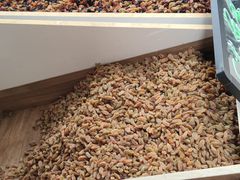 -新疆国际大巴扎