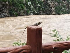 -大渡河峡谷国家地质公园