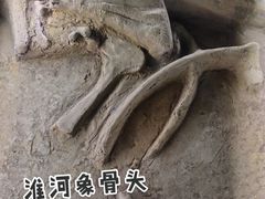 -泗洪县文化艺术中心