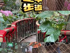 -正佳雨林生态植物园