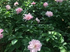 -幕燕滨江·长江观音景区