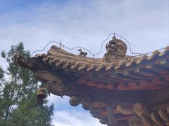 -张掖大佛寺景区