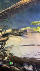 -Zoolung Zoolung动物主题公园(海信广场店)