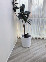 -HEYAN荷妍专业脱毛连锁机构