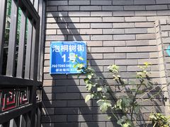 -泡桐树街