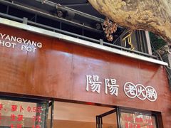 -阳阳老火锅(小南门店)