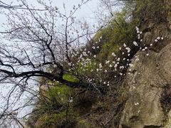 -北京凤凰岭