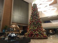 -上海嘉定喜来登酒店