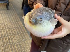 -永安鱼庄·镇江菜(东吴路店)