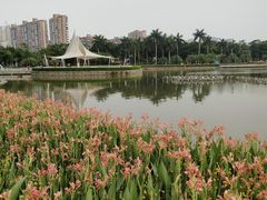 -文华公园(禅城区)