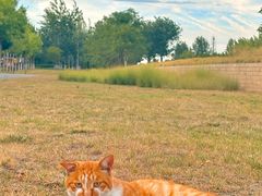 -汉长安城未央宫国家考古遗址公园