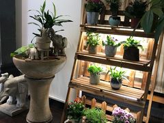自助取餐区-十二舍·湯物素煮(江泰潤政店)